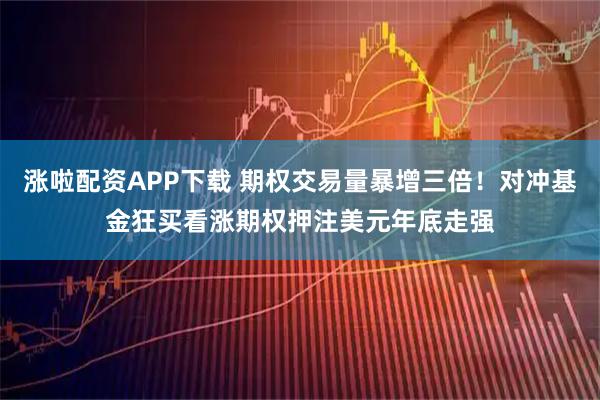 涨啦配资APP下载 期权交易量暴增三倍！对冲基金狂买看涨期权押注美元年底走强