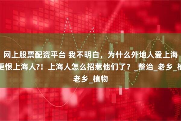 网上股票配资平台 我不明白，为什么外地人爱上海但更恨上海人?！上海人怎么招惹他们了？_整治_老乡_植物